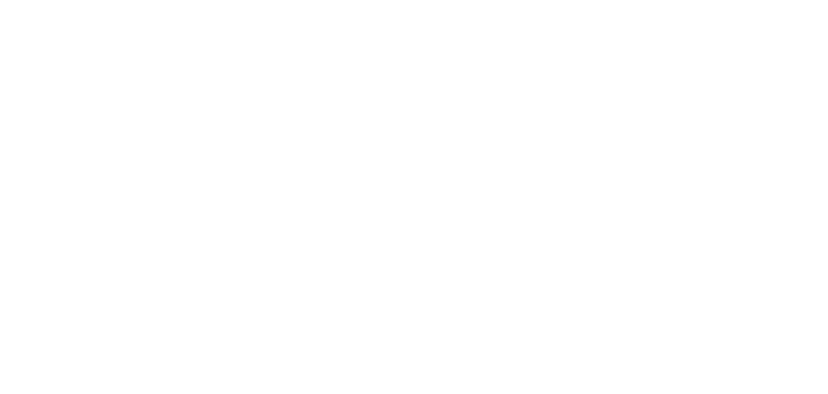 Logo Silver Cap